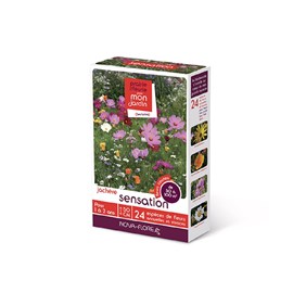 Prairies fleuries : sensation 50 à 100 m