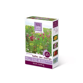 Prairies fleuries : jachères