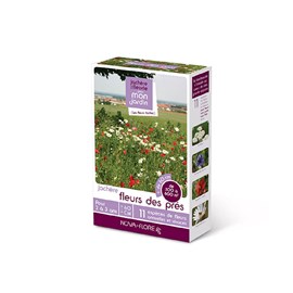 Prairies fleuries : jachères fleurs