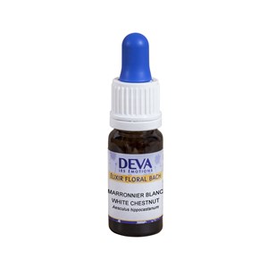 Marronnier blanc (white chestnut)