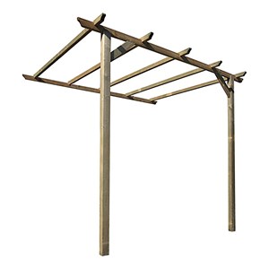 Pergola clématite adossante