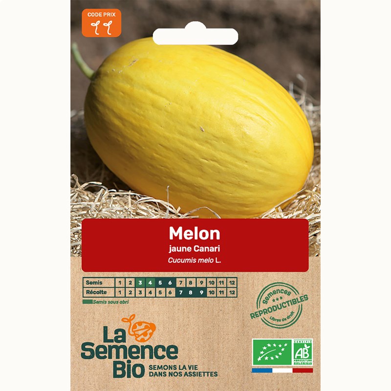 Melon jaune canari hâtif 3 - graines bi