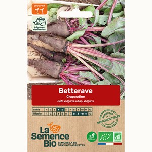 Betterave crapaudine - graines bio