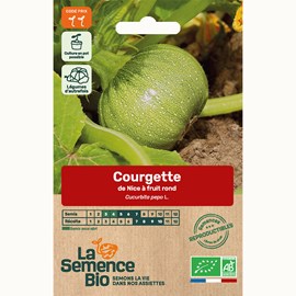 Courgette de nice à fruit rond - graine