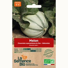 Melon charentais superprécoce du roc -