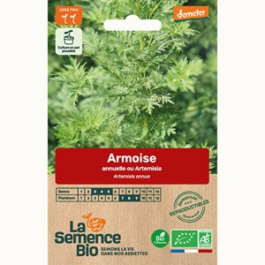 Armoise annuelle bio