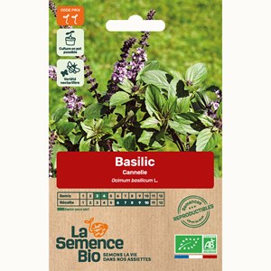 Basilic cannelle - graines bio