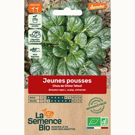 Jeunes pousses chou de chine tatsoï - g