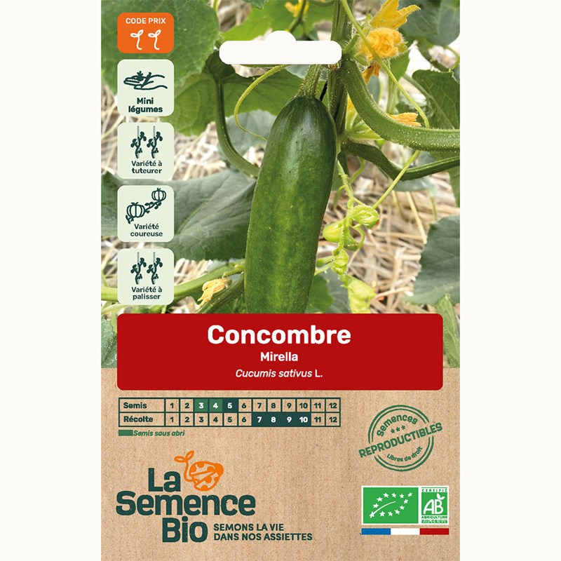 Concombre mirella - graines bio