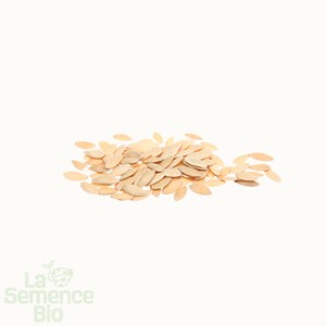 Concombre mirella - graines bio