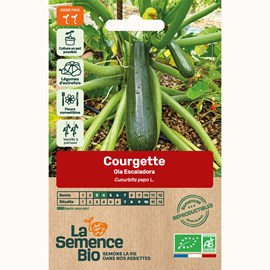 Courgette ola escaladora - graines bio