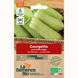Courgette verte petite d'alger - graines