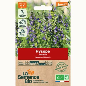 Hysope officinale - graines bio