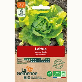 Laitue sucrine appia - graines bio