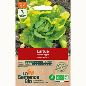 Laitue sucrine appia - graines bio