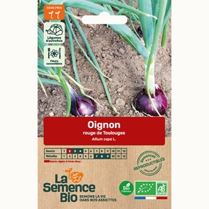 Oignon rouge de toulouges - graines bio