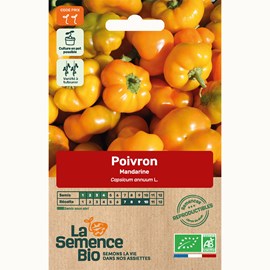 Poivron mandarine - graines bio