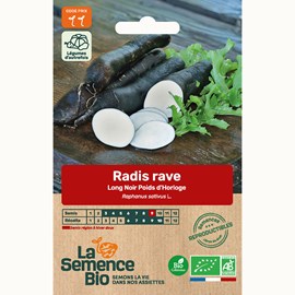 Radis rave long noir poids d'horloge - g