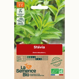 Stevia - graines bio