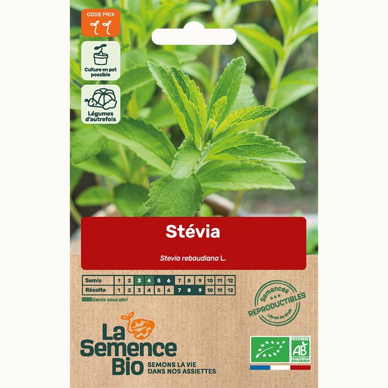 Stevia - graines bio