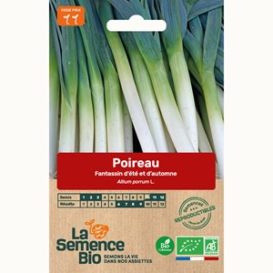 Poireau fantassin - graines bio