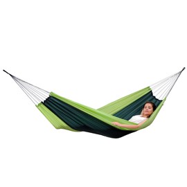 Silk traveller forest