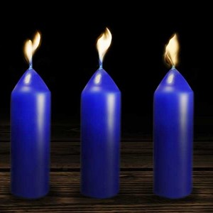 Bougies à la citronnelle pour lanterne u