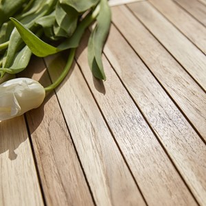 Salon de jardin teck brut 6/8 pers