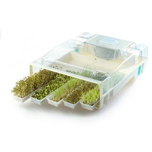 Easygreen - germoir automatique