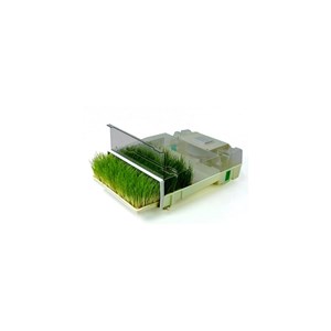 Easygreen - germoir automatique