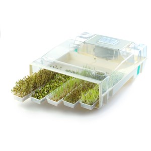 Easygreen - germoir automatique