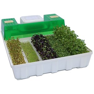 Easygreen - germoir automatique