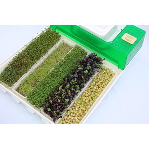 Easygreen - germoir automatique
