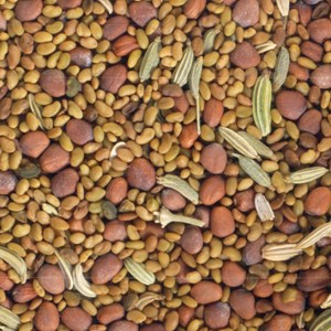 Graines à germer alfalfa - radis - fenou