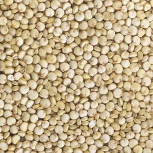 Graines à germer quinoa germline