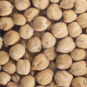 Graines à germer pois chiche germline