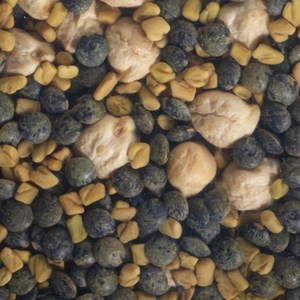 Graines à germer mix protéines germline