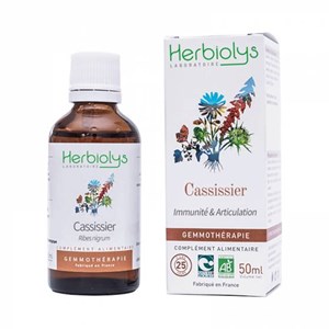 Bourgeons de cassissier 50 ml bio