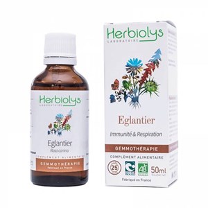 Bourgeons d'eglantier 50 ml bio