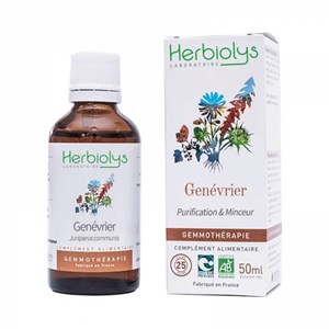 Bourgeons de genévrier 50 ml bio