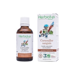 Bourgeons de cornouiller 50 ml bio