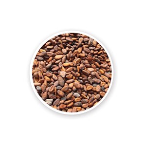 Fèves de cacao hq - ecocert - 500g