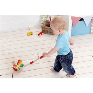 Canne à pousser papillon