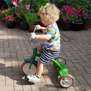 Tricycle rétro en métal vert