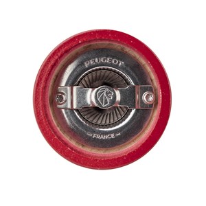 Bistro moulin à sel manuel en bois