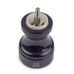 Bistro moulin à sel manuel en bois