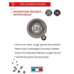 Bistro moulin à poivre manuel en bois