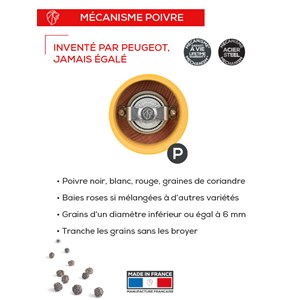 Bistro moulin à poivre manuel en bois