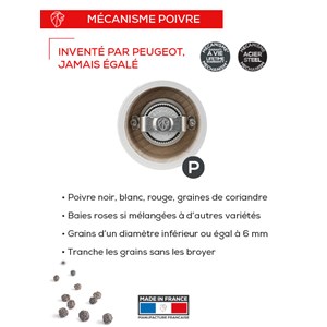 Bistro moulin à poivre manuel en bois