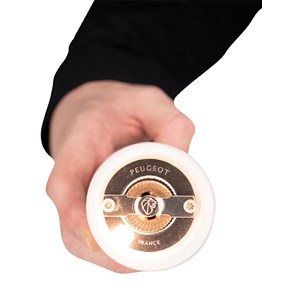 Alaska moulin à sel électrique en abs